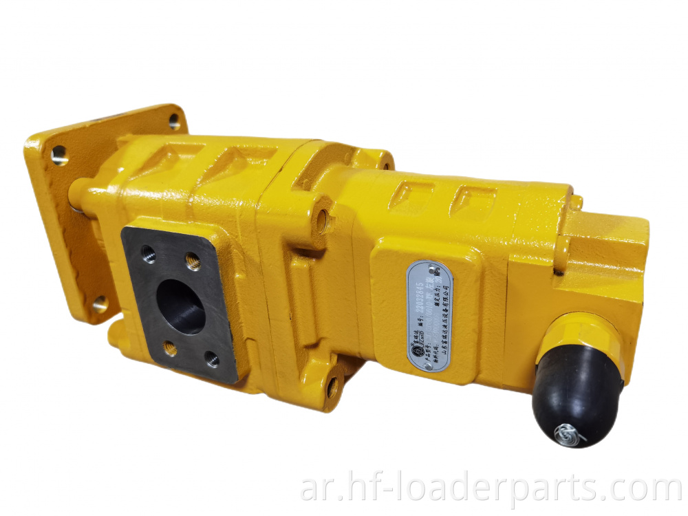 Double hydraulic gear pump for Lonking